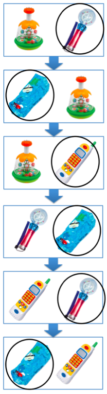 EBIP_Reinforcement_Paired Stimulus Preference Assessment_1