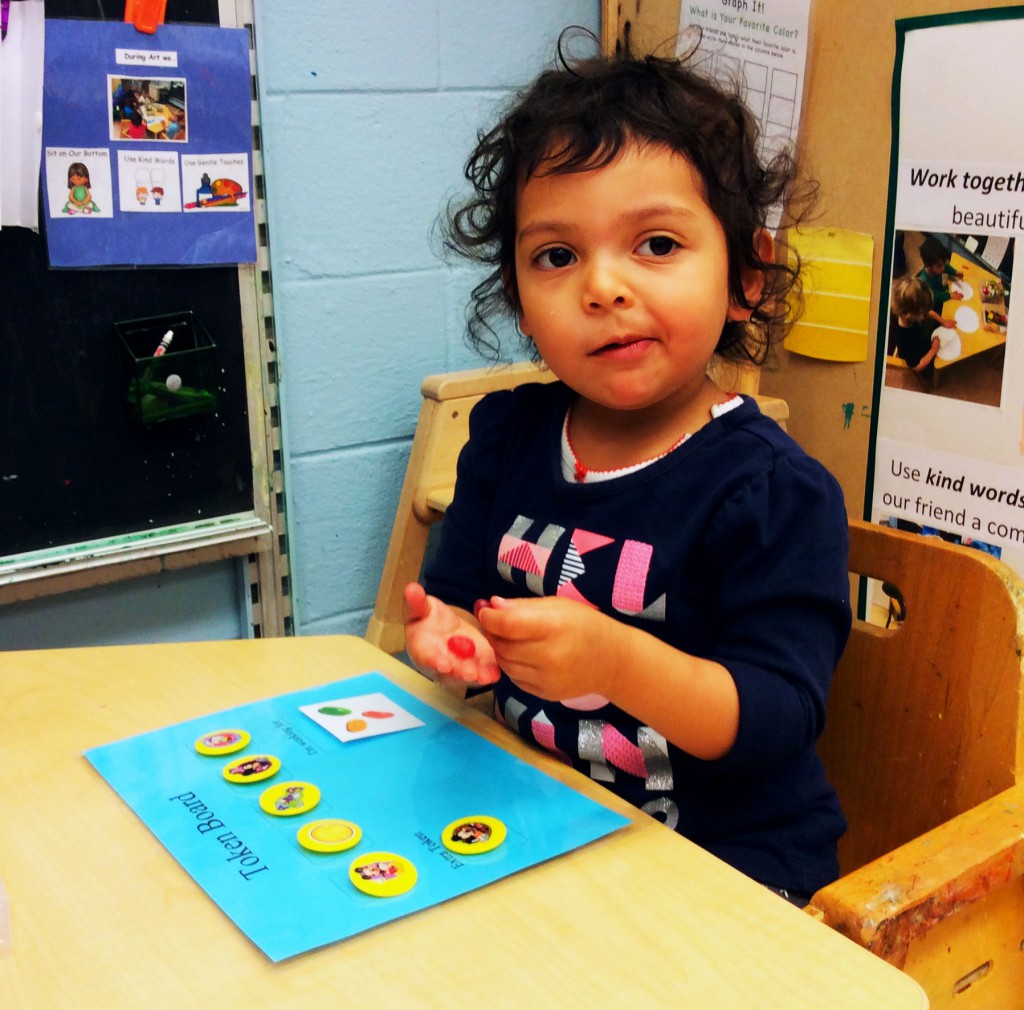 EBIP_reinforcement_token board